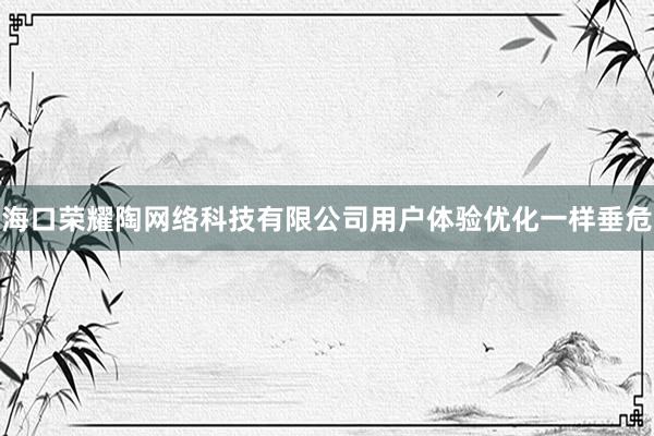 海口荣耀陶网络科技有限公司用户体验优化一样垂危