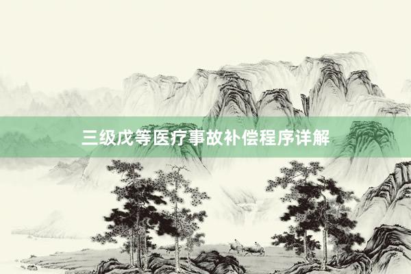 三级戊等医疗事故补偿程序详解