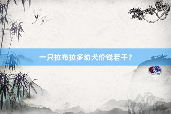 一只拉布拉多幼犬价钱若干?