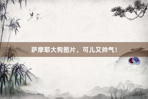 萨摩耶大狗图片，可儿又帅气！